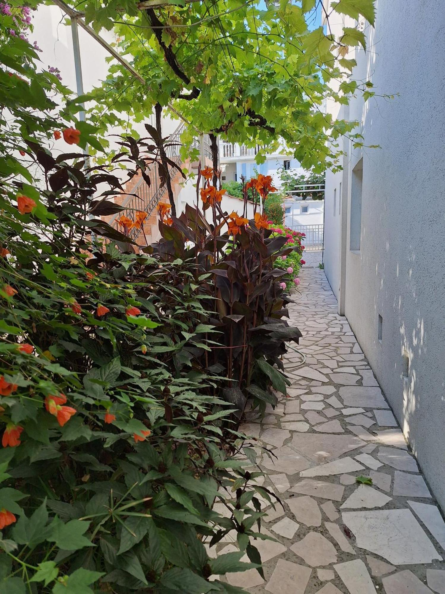 Apartmani Hortenzija Budva Extérieur photo
